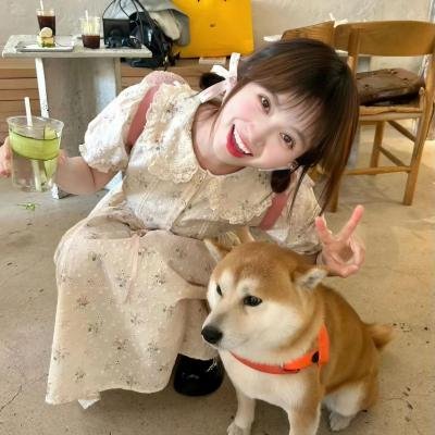 霓裳魅影