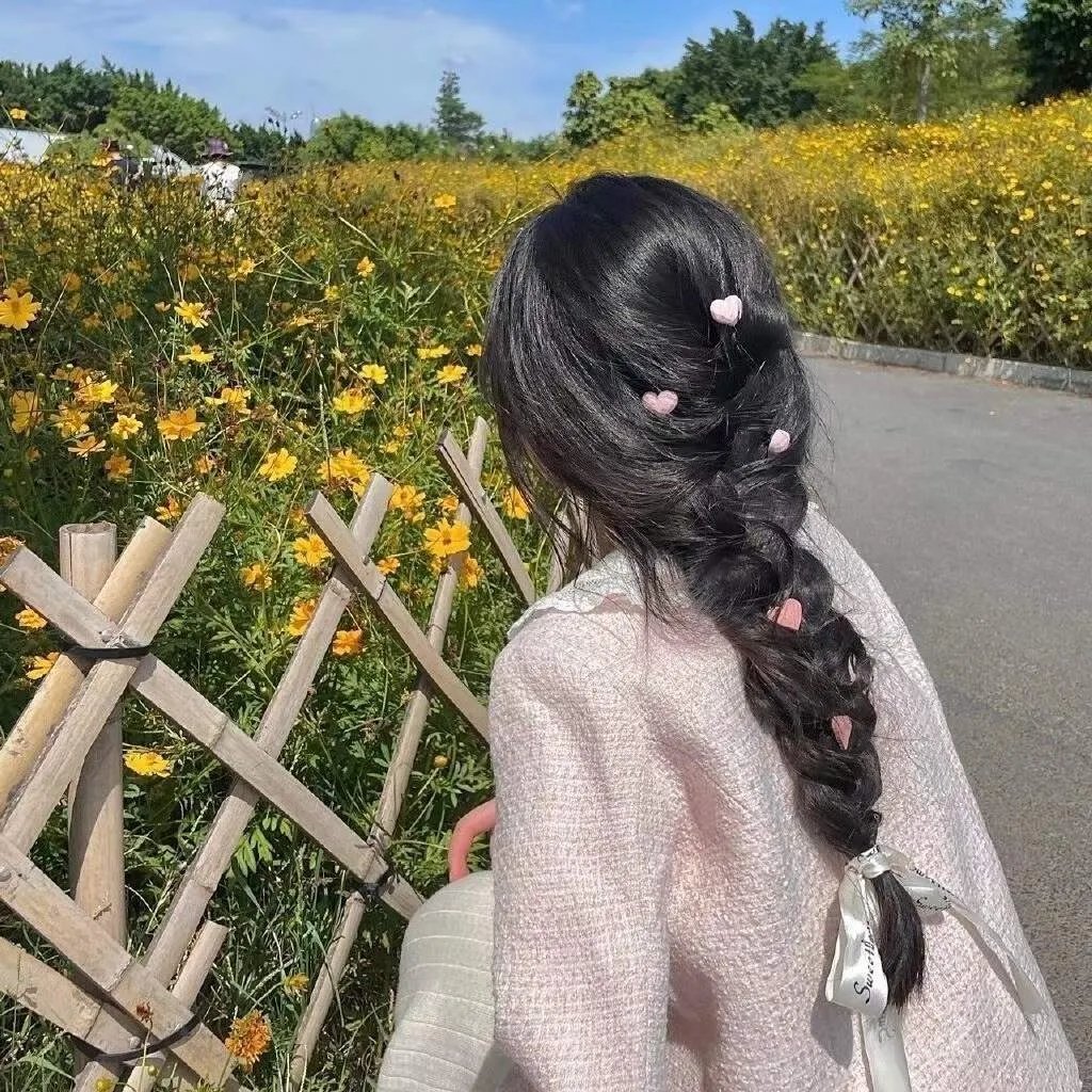 双姝艳